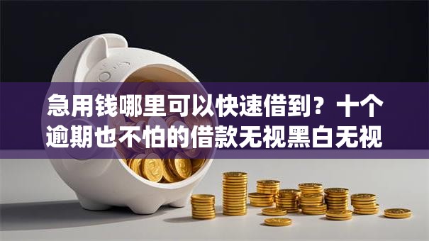 急用钱哪里可以快速借到？十个逾期也不怕的借款无视黑白无视年龄100%秒过app