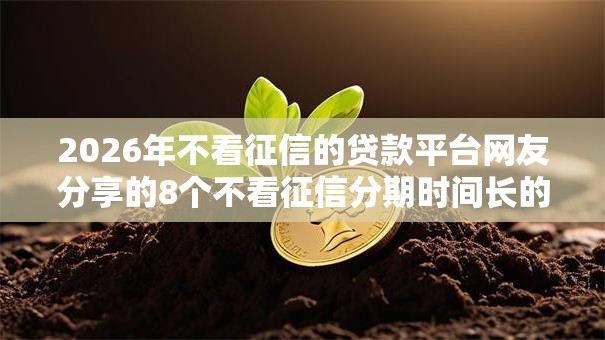 2026年不看征信的贷款平台网友分享的8个不看征信分期时间长的贷款平台我觉得不错！