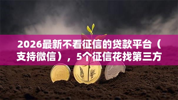 2026最新不看征信的贷款平台（支持微信），5个征信花找第三方担保贷款平台无私分享