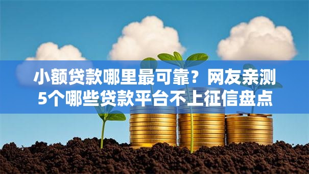 小额贷款哪里最可靠？网友亲测5个哪些贷款平台不上征信盘点