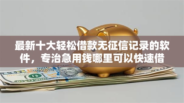 最新十大轻松借款无征信记录的软件，专治急用钱哪里可以快速借到
