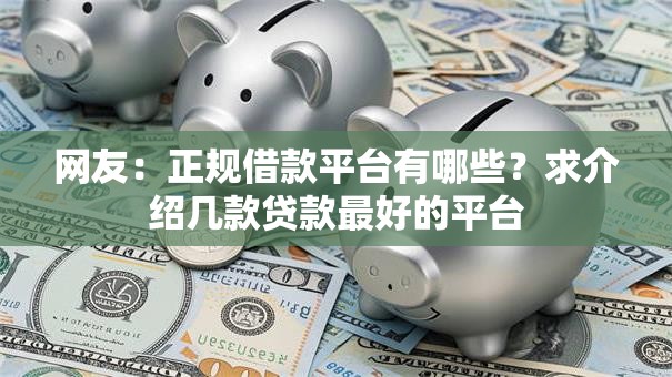 网友：正规借款平台有哪些？求介绍几款贷款最好的平台