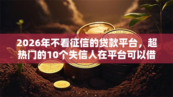 2026年不看征信的贷款平台,超热门的10个失信人在平台可以借钱推荐 2026年不看征信的贷款平台,超热门的10个失信人在平台可以借钱推荐