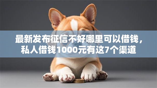 最新发布征信不好哪里可以借钱，私人借钱1000元有这7个渠道
