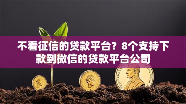 不看征信的贷款平台？8个支持下款到微信的贷款平台公司
