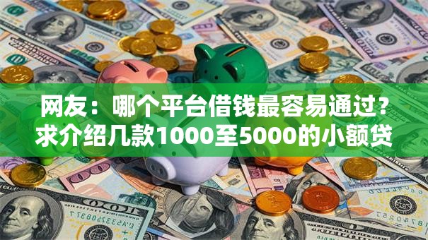 网友：哪个平台借钱最容易通过？求介绍几款1000至5000的小额贷款平台