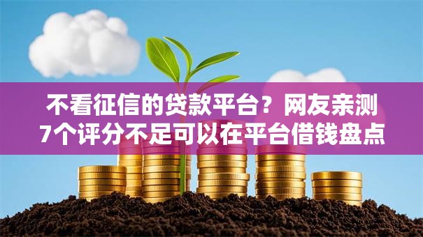 不看征信的贷款平台？网友亲测7个评分不足可以在平台借钱盘点