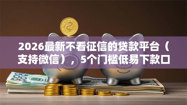 2026最新不看征信的贷款平台（支持微信），5个门槛低易下款口子无私分享