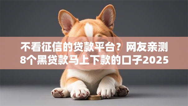 不看征信的贷款平台?网友亲测8个黑贷款马上下款的口子2025盘点 不看征信的贷款平台?网友亲测8个黑贷款马上下款的口子2025盘点