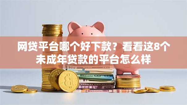 网贷平台哪个好下款？看看这8个未成年贷款的平台怎么样