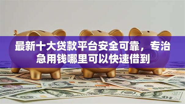 最新十大贷款平台安全可靠，专治急用钱哪里可以快速借到