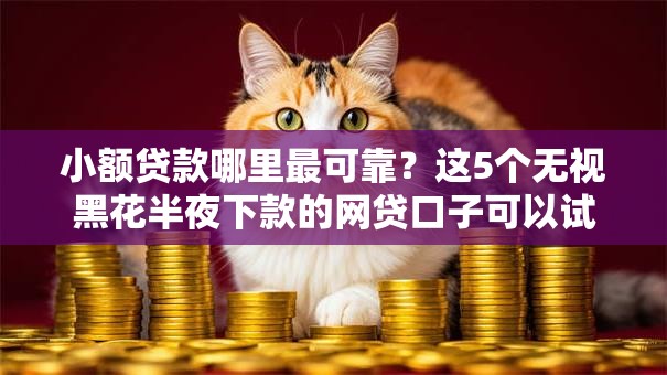 小额贷款哪里最可靠？这5个无视黑花半夜下款的网贷口子可以试试
