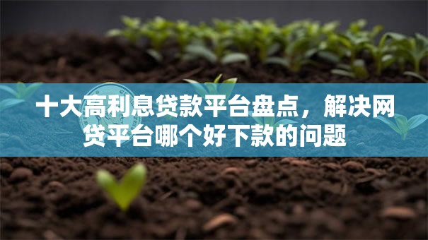 十大高利息贷款平台盘点，解决网贷平台哪个好下款的问题