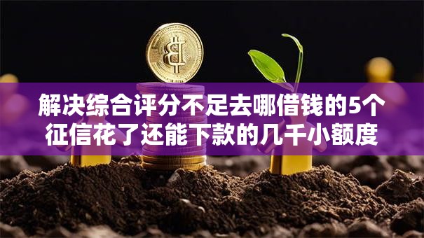 解决综合评分不足去哪借钱的5个征信花了还能下款的几千小额度平台分享
