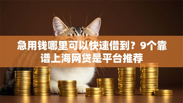 急用钱哪里可以快速借到?9个靠谱上海网贷是平台推荐 急用钱哪里可以快速借到?9个靠谱上海网贷是平台推荐
