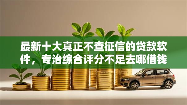 最新十大真正不查征信的贷款软件,专治综合评分不足去哪借钱 最新十大真正不查征信的贷款软件,专治综合评分不足去哪借钱