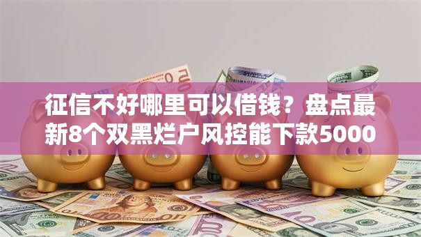 征信不好哪里可以借钱？盘点最新8个双黑烂户风控能下款5000口子