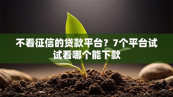 不看征信的贷款平台？7个平台试试看哪个能下款