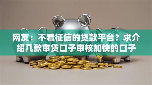 网友：不看征信的贷款平台？求介绍几款审贷口子审核加快的口子