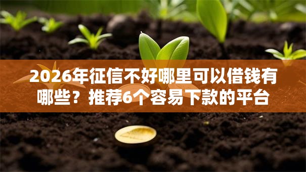 2026年征信不好哪里可以借钱有哪些？推荐6个容易下款的平台