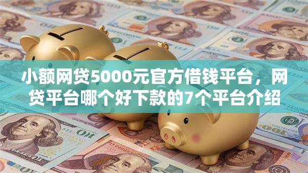 小额网贷5000元官方借钱平台，网贷平台哪个好下款的7个平台介绍